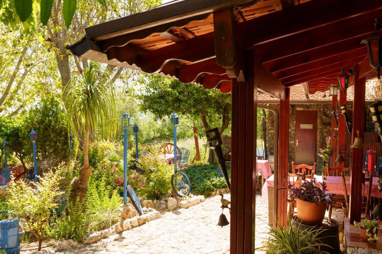 Villa Tehila - By V Club Chain Rosh Pina Extérieur photo