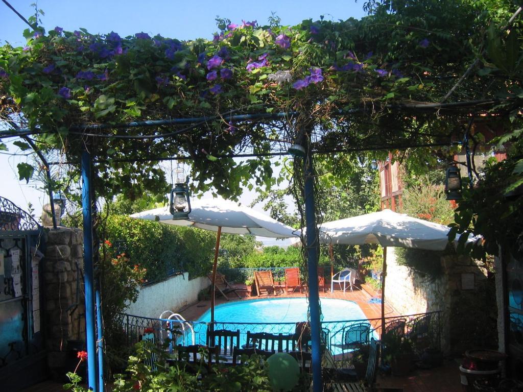 Villa Tehila - By V Club Chain Rosh Pina Extérieur photo